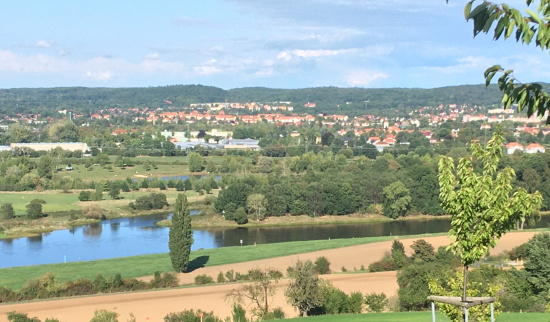 Gauernitzer Elbinsel Foto: Cornelia Trapp
